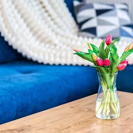 Sole Mare Piamola Z Basenem Daire Kąty Rybackie